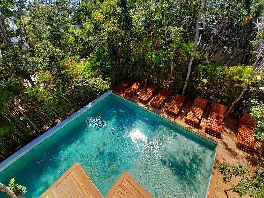 Private Rooftop Pool - Bike To Ruins Or Beach Tulum 0*,