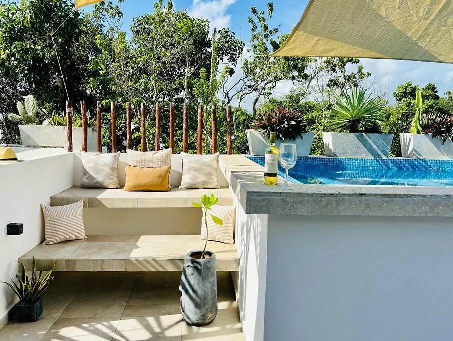 Private Rooftop Pool - Bike To Ruins Or Beach Tulum