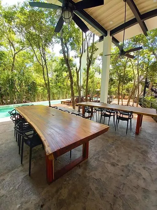 Private Rooftop Pool - Bike To Ruins Or Beach Tulum